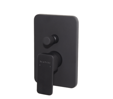 Concealed Diverter Mixer Tap | Shore Black
