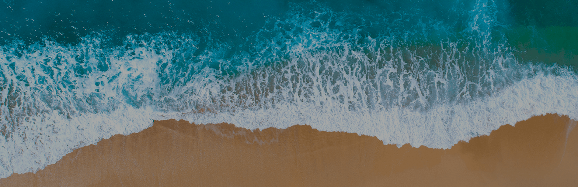 Siteheader