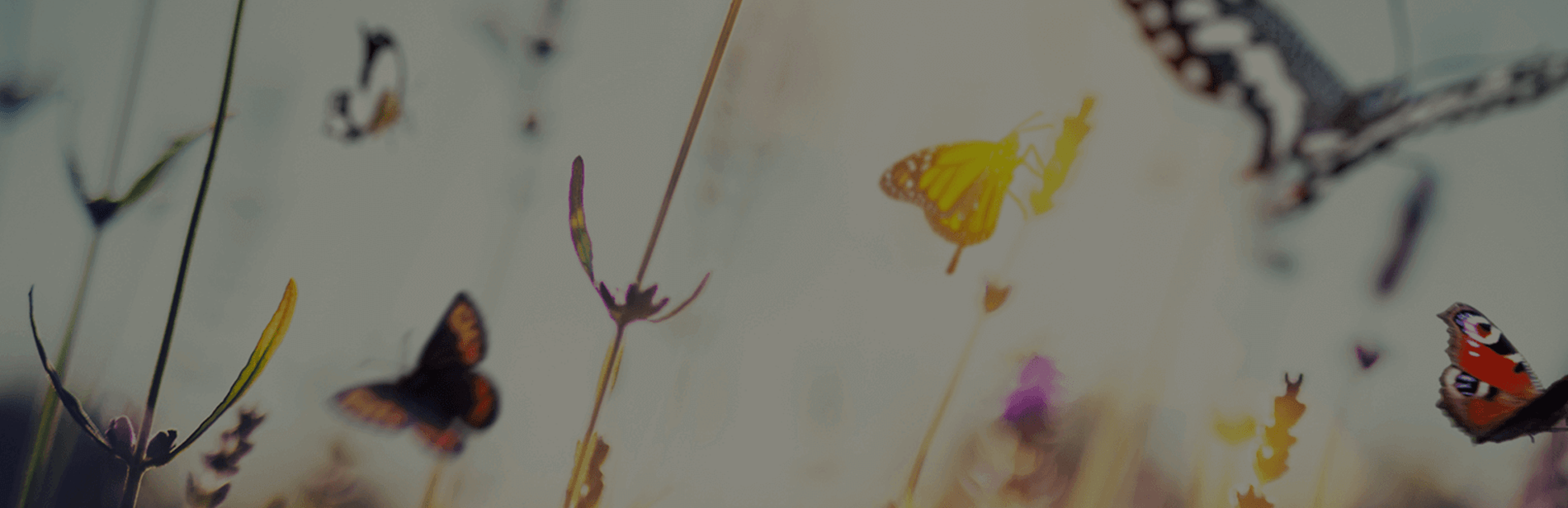 Siteheader